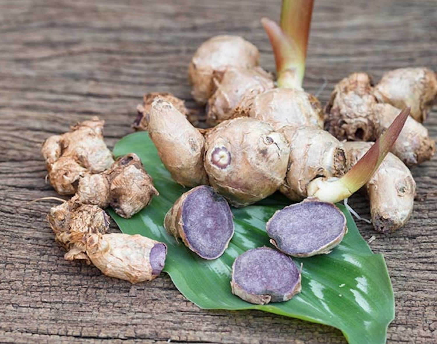 Boost Blood Flow Naturally with Black Ginger for Bodybuilders